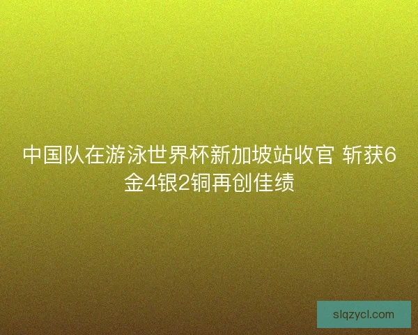 中国队在游泳世界杯新加坡站收官 斩获6金4银2铜再创佳绩