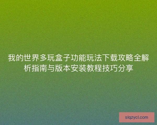 我的世界多玩盒子功能玩法下载攻略全解析指南与版本安装教程技巧分享